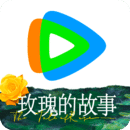 最有女人味的女明星前十位